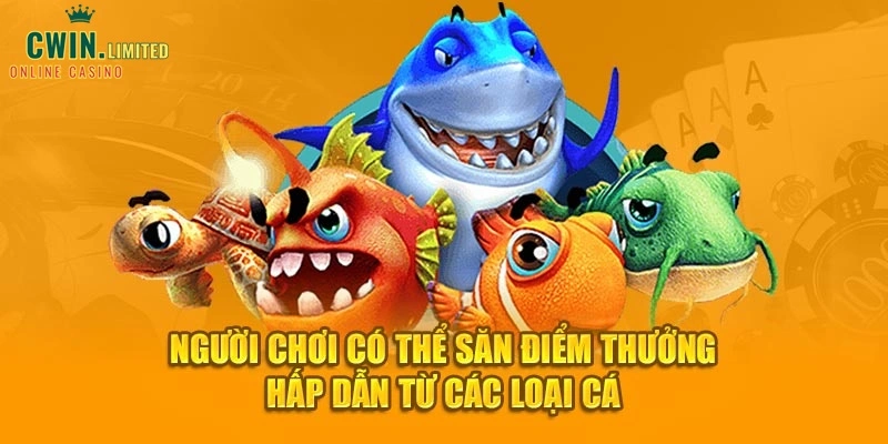 Người chơi có thể săn điểm thưởng hấp dẫn từ các loại cá