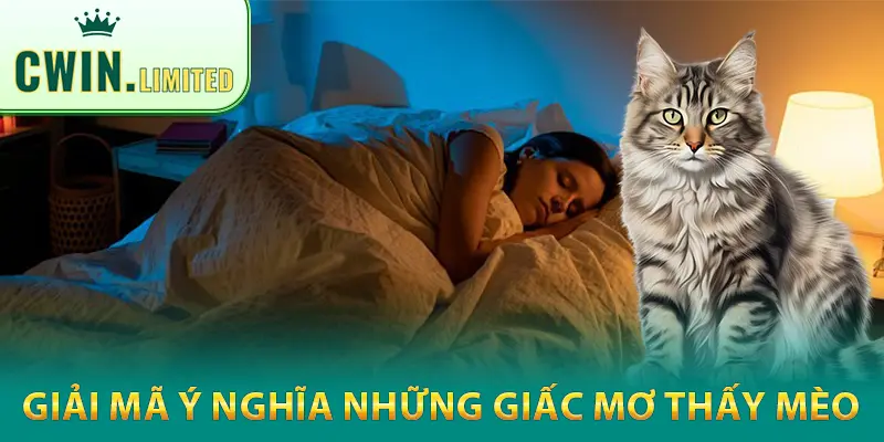 Đi giải mã ý nghĩa của một số giấc mơ liên quan đến mèo