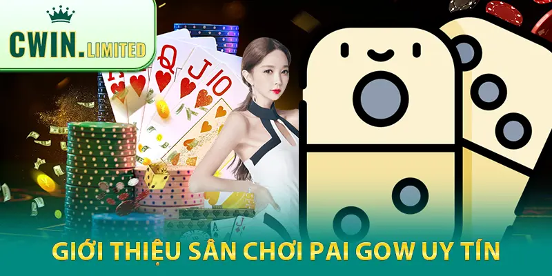 Cwin là lựa chọn lý tưởng cho thành viên khi chơi bài Cẩu Pai Gow