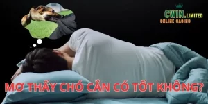 Mơ thấy chó cắn nên đánh con gì