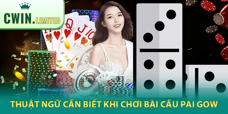 Cách chơi Pai Gow hiệu quả là thành viên phải hiểu rõ quy luật, thuật ngữ