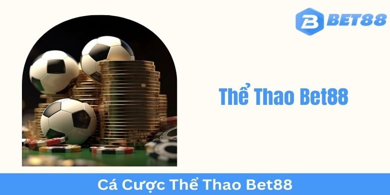 Điểm thu hút người chơi tại thể thao bet88